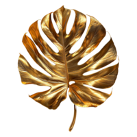 AI generated Monstera plant golden leaf isolated on a transparent background png