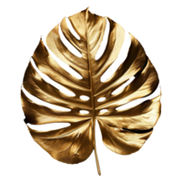 AI generated Monstera plant golden leaf isolated on a transparent background png