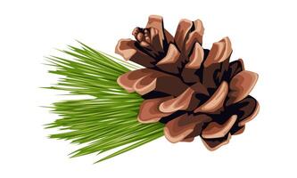 Vector illustration, pine cone with leaves, isolated white background.