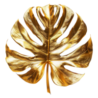 AI generated Monstera plant golden leaf isolated on a transparent background png