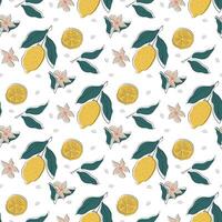 lemon doodle pattern vector