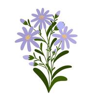 doodle flower isolated vector