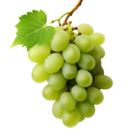 ai generato verde vino uva png isolato su trasparente sfondo