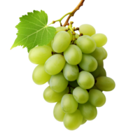 AI generated Green wine grape png isolated on transparent background