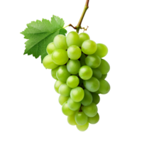 AI generated Green wine grape png isolated on transparent background