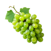 ai generado verde vino uva png aislado en transparente antecedentes