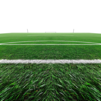 AI generated Soccer field with gate isolated on transparent background png