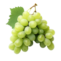 AI generated Green wine grape png isolated on transparent background