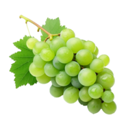 AI generated Green wine grape png isolated on transparent background