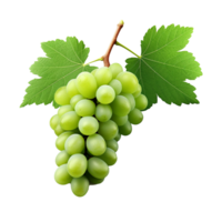 AI generated Green wine grape png isolated on transparent background