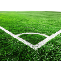 AI generated Soccer field with gate isolated on transparent background png