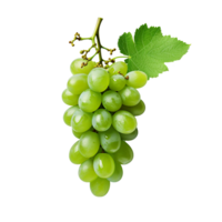 ai gerado verde vinho uva png isolado em transparente fundo