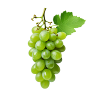 AI generated Green wine grape png isolated on transparent background