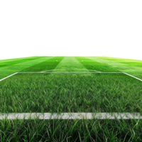 AI generated Soccer field with gate isolated on transparent background png