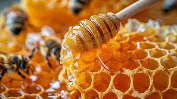 ai generado abejas en panal con miel cazo antecedentes foto