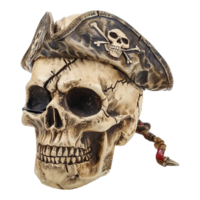 AI generated Pirate skull isolated on transparent background png