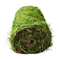 AI generated Rolled lawn isolated on transparent background png