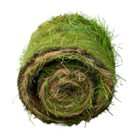 AI generated Rolled lawn isolated on transparent background png