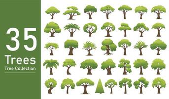 silhouette tree line drawing set, Side view, set of graphics trees elements outline symbol. silhouette tree line drawing set, Side view, icon set of graphics trees elements outline symbol. vector