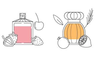 Set of different perfume bottles with ingredients vector