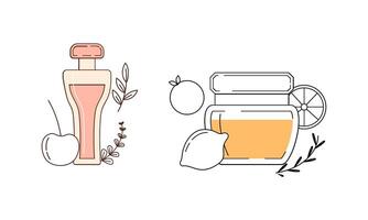 conjunto de diferente perfume botellas con ingredientes vector