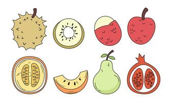 Fruta dibujos animados grande conjunto colección vector