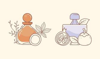 Set of different perfume bottles with ingredients vector