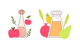 Set of different perfume bottles with ingredients vector