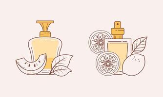 conjunto de diferente perfume botellas con ingredientes vector