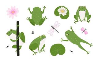 Set of cute cartoon frogs. Simple hand drawn illustration of nature vector