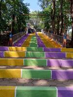 Colorful Forest Pathway with Staircase and Greenery photo