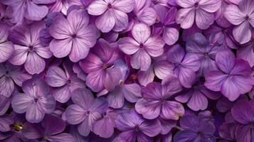 ai generado púrpura flores flotante en aire foto