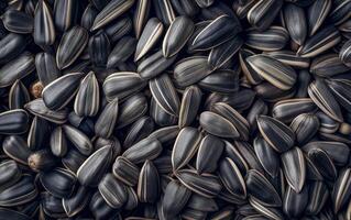 AI generated Sunflower Seeds on Background, Top View photo