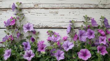 AI generated Purple Flowers Growing in Planter photo