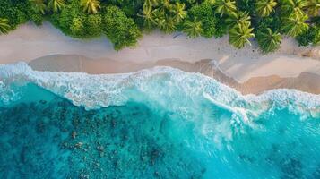 AI generated Aerial View of Tropical Beach With Clear Blue Water photo