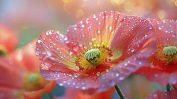 ai generado rojo flores con agua gotas foto