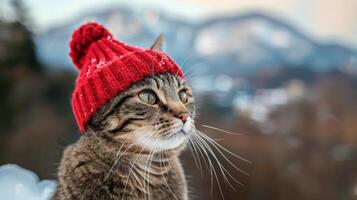 ai generado gato con rojo sombrero en nieve foto