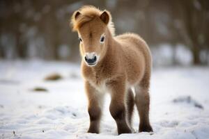 ai generado miniatura poni potro invierno campo. generar ai foto