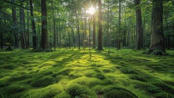 AI generated Sun Shines Through Trees in Green Forest photo