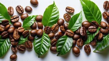 AI generated Coffee Beans and Green Leaves on a White Surface photo