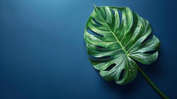 AI generated Large Green Leaf on Blue Background photo