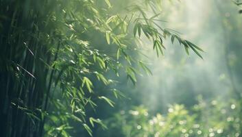 AI generated Bamboo forest with morning sunlight and lens flare. Natural background. photo