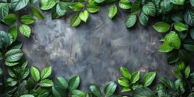 AI generated Green leaves on dark textured background, top view. Space for text photo