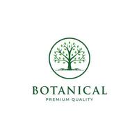 resumen árbol de vida logo íconos colocar. botánico planta naturaleza simbolos vector