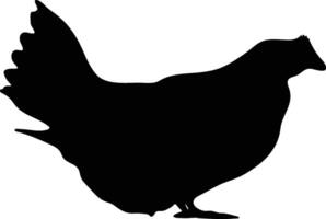 Chicken vector  or silhouette