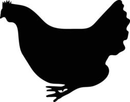 Chicken vector  or silhouette