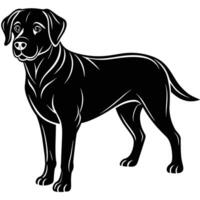 perro Labrador, aislado en blanco antecedentes vector ilustración.