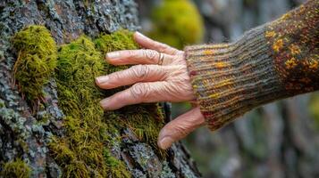 ai generado mano descansando en musgo cubierto árbol foto