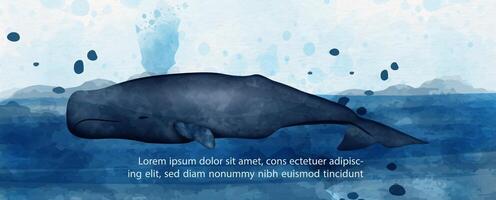 Whale swimming in the ocean in watercolors style and example texts on blue paper pattern background. vector