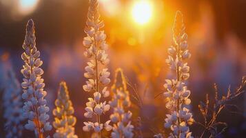 ai generado campo de amarillo flores debajo nublado cielo foto